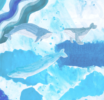 blue whales THIS ONE